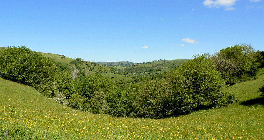 Manifold Valley Manifold Valley